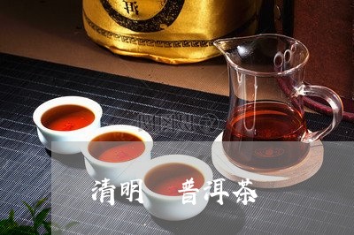 清明 普洱茶/2023042820223